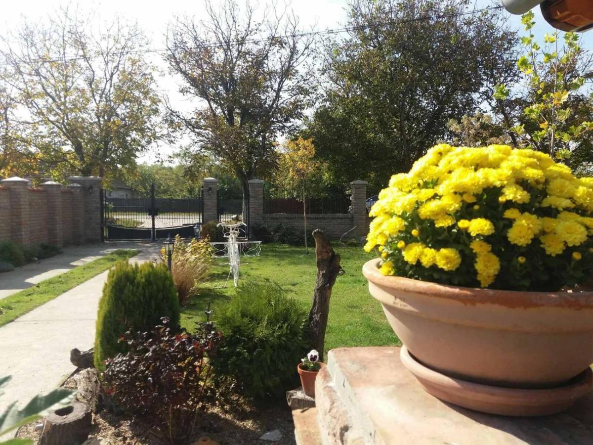 Rita Apartman&Studio Zrenjanin Esterno foto