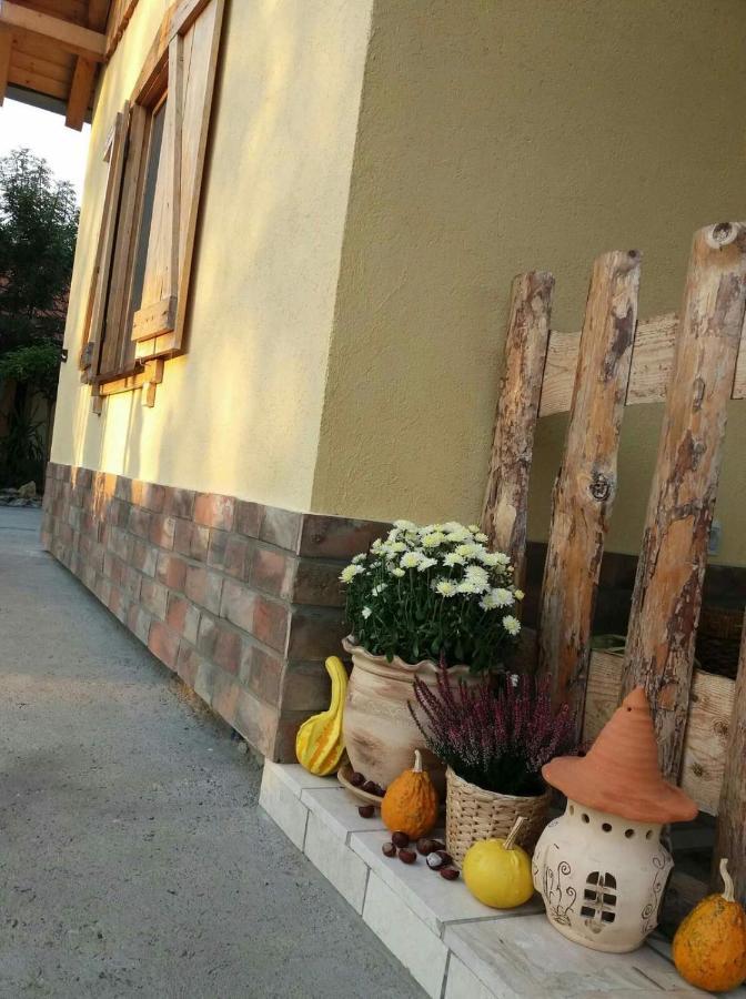 Rita Apartman&Studio Zrenjanin Esterno foto