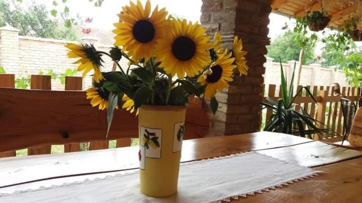 Rita Apartman&Studio Zrenjanin Esterno foto